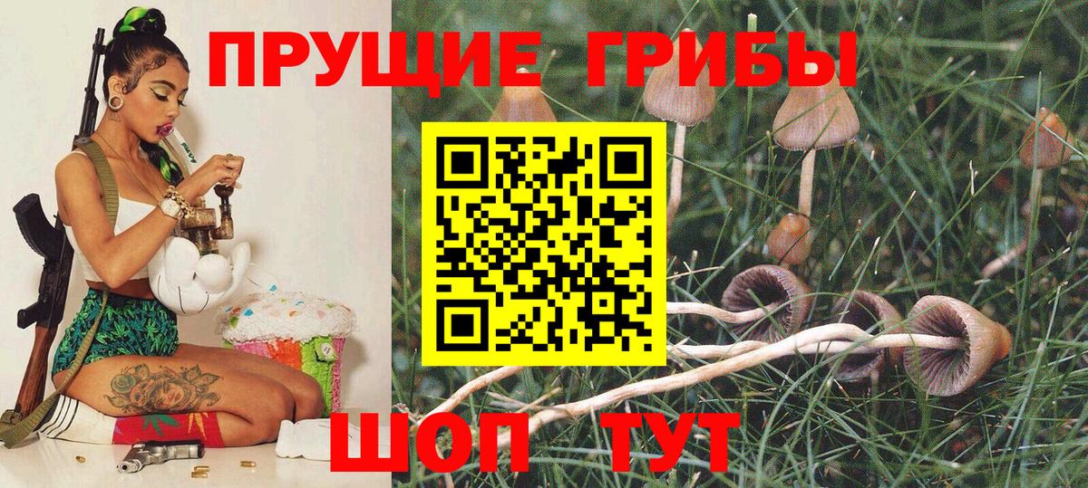 Галлюциногенные грибы ЛСД  Псилоцибиновые грибы прущие грибы  Донской  Вход с VPN 